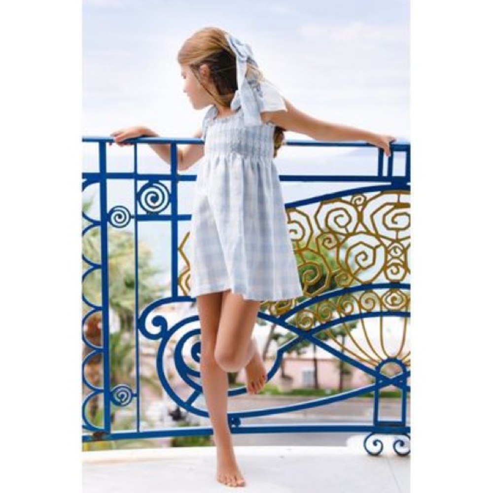 NWT Sal & Pimenta Blue Buffalo Check Dress